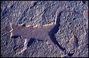 northshore-petroglyph-14