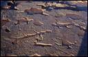 northshore-petroglyph-20